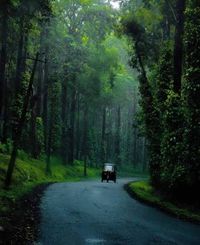 Coorg India