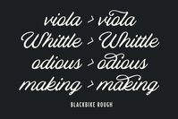 Blackbike ~ Script Fonts ~ Creative Market