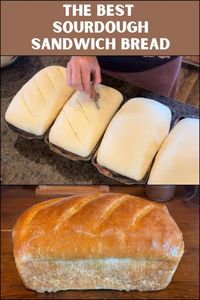 Soft Sourdough Sandwich Bread - Easy Recipe - Wagon Wheel Homestead