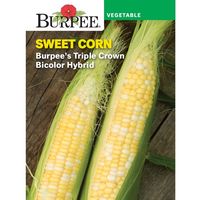 Burpee Burpee's Triple Crown Bicolor Hybrid Sweet Corn Vegetable Seed, 1-Pack - Walmart.com