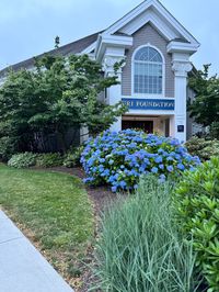 #univeristyofrhodeisland #flowers #URI #rhodyrhodyrhody #oceanstate #hydrangeas