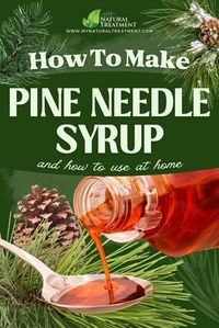 Want to know the pine needle syrup recipe and how to use the pine syrup at home? Continue reading and find out.