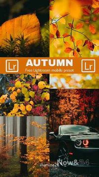 To download this preset for FREE navigate to my 'free Lightroom preset' board in my profile. #Lightroom #preset #free preset #Lightroom CC #autumn #fall