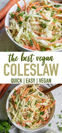 A quick & easy vegan coleslaw recipe just like what we remember digging into growing up. It's creamy and crunchy with the perfect amount of bite, plus it only takes 10 minutes to make! #thebest #vegan #coleslaw #summer #recipe #side #appetizer #pulledjackfruit #barbecue #sandwiches #salad #veganparty #lastminuterecipe #quickrecipe #easyvegan #sweetsimplevegan