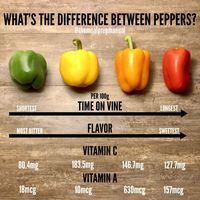 o you know the difference between the color of bell peppers? They actually all come from the same plant and are at different stages of the