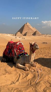 Discover Best Egypt Travel Tips Plus To Organize And Prepare For Your Egypt Travel #EgyptTravel #Cairo #Luxor #Hurghada #Aswan