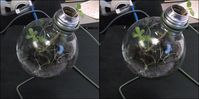 Light bulb planter