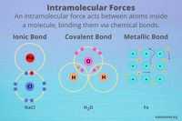 Intramolecular Forces