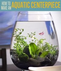 DIY Small Fish Tank Aquarium Centerpiece