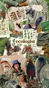 #ecology #ecologist #wildlife #nature #biology #careergoals