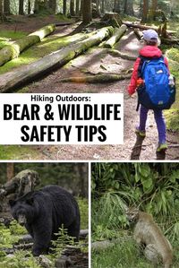 Check out our Bear & Wildlife Safety TIps! Hiking outdoors offers so many benefits to your physical and mental well being—it’s a great way to connect with nature, stay healthy, and enjoy time with friends and family. Enjoying the views, including local wildlife, is part of the charm and empowerment of this classic outdoor activity.