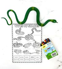 Different Types of Snakes Worksheet (Free Printable)