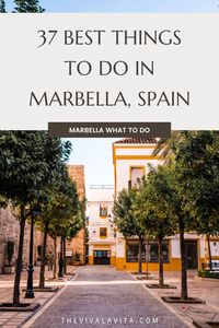 Immerse yourself in the beach life of Marbella, discovering the most aesthetic and serene spots along the coast. Save this pin to your Beach Lovers board and find more tranquil beaches in our article!