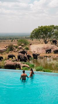 It is a popular destination for safari tours and is known for its annual wildebeest migration, which sees hundreds of thousands of wildebeest and zebras move across the plain in search of food and water. The Serengeti is also home to a number of other iconic animals, including the big five (lions, leopards, elephants, rhinos, and cape buffalo). I Credist: jeremyaustiin [IG]| For more amazing places visit http://ceylonly.com