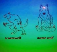 Thursday Thoughts #ThursdayThoughts #werewolf #awarewolf #mindfulness #buddhawolf #halloween #warrenzevon #humor