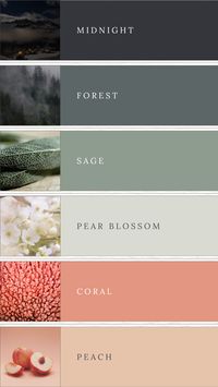 Refined Nature: Achieve refined nature with this sage and coral color palette, ideal for small business branding or luxury weddings. The blend of midnight green, dark forest green, sage, pale green, coral, and peach creates a harmonious and sophisticated look. Perfect for adding a touch of nature-inspired elegance to your design, this palette exudes elegance and refinement. #RefinedNature #NaturePalette #ElegantBranding