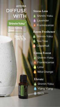 Transform your space into a refreshing citrus forest with our Shinrin-Yoku diffuser blends. Natural, safe, and refreshing. 🍊🌳