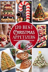 Get your christmas party started off right with these festive christmas appetizers. From finger foods to easy make ahead christmas dips, there are plenty of christmas party foods to choose from. These christmas recipes are certain to wow your christmas dinner guests.