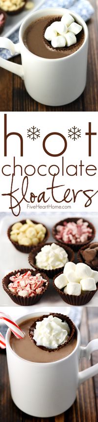 Hot Chocolate Floaters