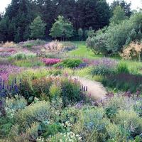 Piet Oudolf's New Garden Book, "Plantings" : Architectural Digest #GardenArchitecture