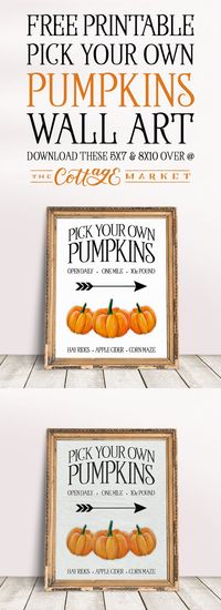 Free Printable Pick Your Own Pumpkins Wall Art #PumpkinWallArt #FreePrintablePumpkinWallArt #FreePrintables #FreePrintableFall #FreePrintable Pumpkins #Pumpkins #FreePumpkinPrintables