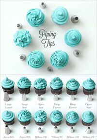 Understanding your piping tips will help you frost everything to perfection. Here is your guide to everything you need to know about piping tips.