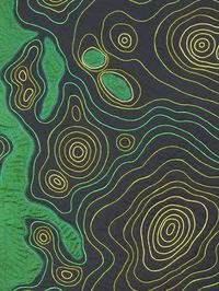 Skywalker | X-Ray Contour Maps