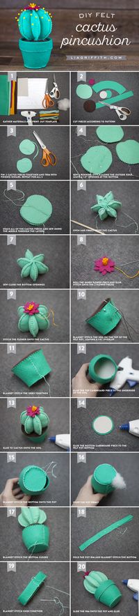 Cactus pin cushion