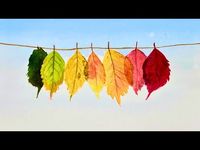 The Secret to PAINTING Stunning Autumn Leaves in Watercolor - YouTube