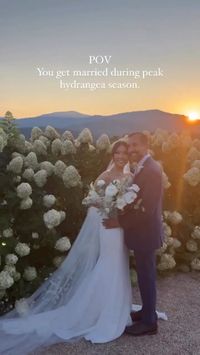 #OurLovelies / Diana + Sanjay met on a plane! It’s only fitting that these cloud-like hydrangeas were in full bloom for their wedding at Pippin Hill Farm. ☁️✨ Diana said ‘I Do’ in our @LoversxSociety ZEPHER from Lovely Bride DC.


 • Planning + Design: Laurel Elise Events
 • Photography: Megan Kay Photography
 • Video: Stephen James Films
 • Makeup: Captivating Complexion (Meg Bryan)
 • Hair: Boho Braids (Ivy Perkins)
 • Florals: Steel Cut Flower Co.
 • Venue + Catering: Pippin Hill Farm
 • DJ: Rhythm of Love Weddings

