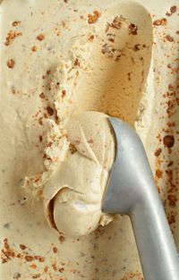 Cinnamon Ice Cream Recipe