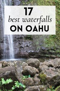 Here are the best waterfalls in Oahu and best waterfall hikes on Oahu. If you're planning a Hawaii vacation or Oahu vacation, venture out of Waikiki and check out some of the best waterfalls in Hawaii! #hawaiiwaterfalls #oahuwaterfalls #waterfallsinhawaii #hawaiitraveltips #hawaiitravelagent