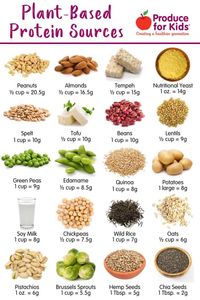 Looking for plant-based or vegan food sources of protein? Here are 24 plant-based protein sources to up your protein intake.