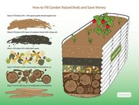 5 Reasons To Start Your Garden In The Winter – Vego Garden