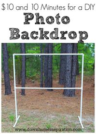 $10 and 10 Minutes for a DIY Photo Backdrop - Down Home Inspiration