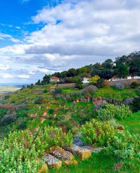 libya • green mountains of libya • cyrenaica • visit libya • libyan nature • beauty of libya • libyan aesthetic •