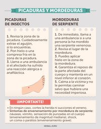 Infografía: Primeros auxilios - Prevencionar, tu portal sobre prevención de riesgos laborales.