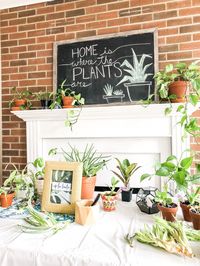 How to Host a Plant Swap » Lavender Julep »