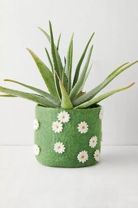 Daisy Field Plant Pot Cover | Urban Outfitters UK