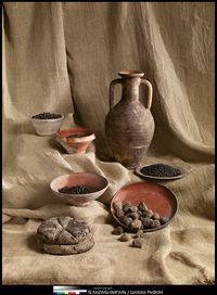 *HERCULANEUM, ITALY ~ One of the amazing finds from Herculaneum: preserved food from 79 A.D. Pottery and carbonized food: bread, peas, figs, fava beans, wheat, and chickpeas from Herculaneum: Art of a Buried City.