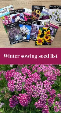 Looking for a winter sowing seed list? Here is a big list of all the different types of plants you can winter sow, separated into categories like perennial flowers, hardy annuals, vegetables, and herbs. Contents show Winter sowing seed list Perennial flower seeds to winter sow Annual flower seeds to…