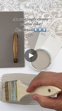 928K views · 4.1K reactions | 🤔 Can you guess this stunning creamy neutral? Simplee DIY curated this palette with "Anew Gray" by Sherwin Williams—the perfect warm greige for any design style!

This color adapts beautifully to both natural and artificial light, making it a great choice for cabinets, entryways, or any cozy room. Want to see how it looks in your home? Order Samplize peel-and-stick samples today—100% accurate, no mess! 🛒 [https://samplize.com/pages/shop/samples/]

#Samplize #PaintSamples #Greige #InteriorDesign #SherwinWilliams #HomeDecor #BeforeAndAfter | Samplize