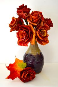 Maple leaf roses