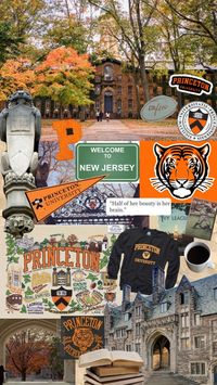 #aesthetic #moodboard #inspo #princeton #oldmoney #ivyleague #university #uni #dream #newjersey #tigers