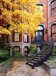 Let’s Explore! Where to Find the Best Fall Foliage in Chicago – Second City Mom