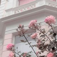 #aesthetic #flowers #pastel #tumblr #rose #pale https://weheartit.com/entry/324592696 | Pink aesthetic, Pastel aesthetic, Flower aesthetic