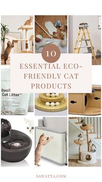 Keep your cat happy and the planet healthy with these chic and eco-friendly cat care products! From bamboo litter boxes to organic treats, discover stylish solutions for sustainable pet parenting. 🌿🐱