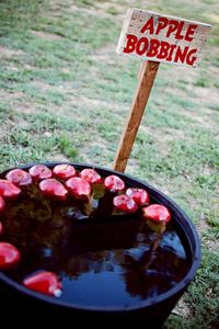 Farmer's Market Party via Kara's Party Ideas | Kara'sPartyIdeas.com #farming #party #idea #boy #girl (6)