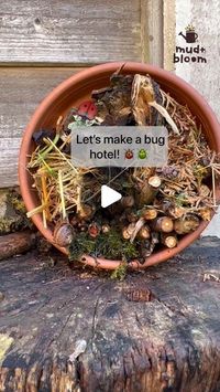 Mud & Bloom on Instagram: "🐞 Make a simple bug hotel! 🐌  Bugs and insects are really important for the plants, soil and animals all around us. They help plants to reproduce, keep our soil healthy and provide food for birds and animals. Insects need to find somewhere out of the rain and cold to spend the autumn and winter. A bug hotel is perfect - insects will love crawling in and finding a tiny corner to snuggle up in!  This bug hotel is really simple to make: you just need a container such as an old plant pot and you can collect the rest of the materials on an autumn’s walk 🍁   We’ve written a blog post with instructions on how to make a bug hotel which you can link to from our profile 👆   #bughotel #insecthotel #wildlifegarden #mudandbloom"