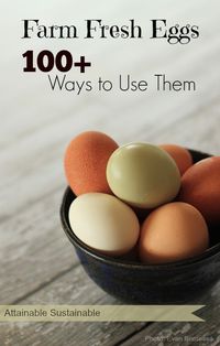 Are your egg-laying chickens leaving you with an overflowing nest box? Here are more than 100 ways to use up your farm fresh eggs. From breakfast to desserts and beyond! #localbite